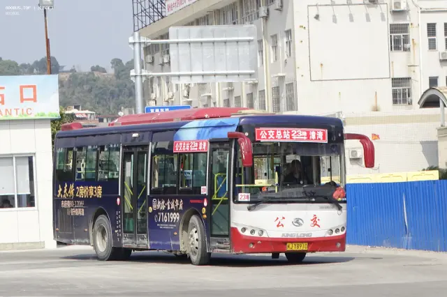 800BUS
