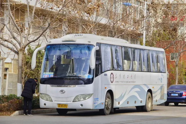 800BUS
