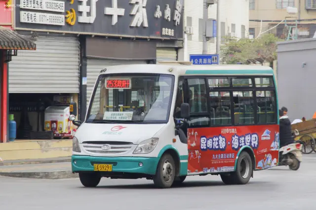 800BUS