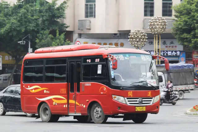 800BUS