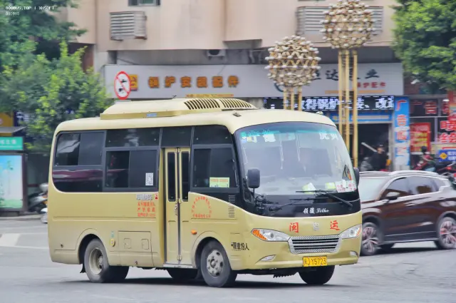 800BUS