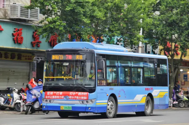 800BUS