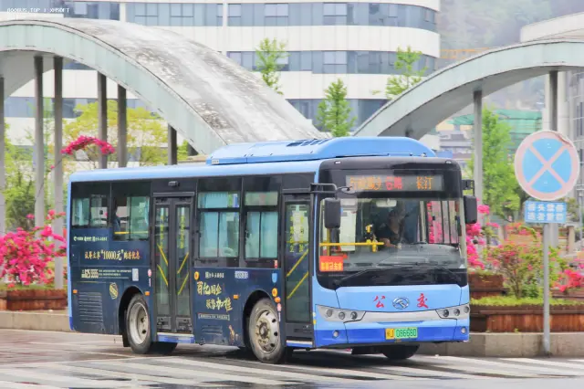 800BUS