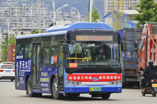 800BUS