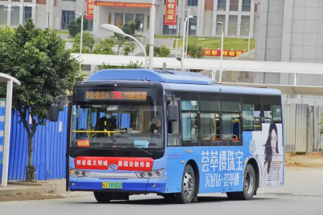 800BUS