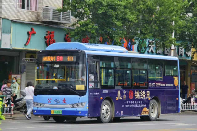 800BUS