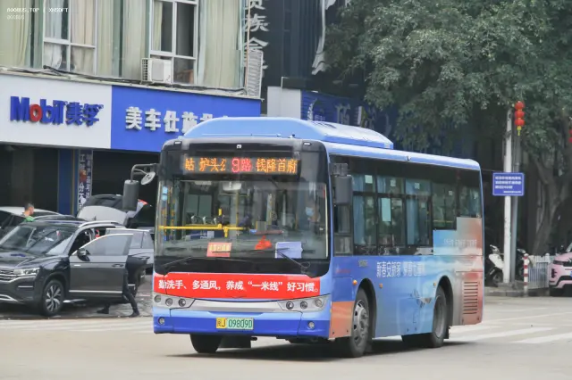 800BUS