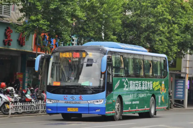 800BUS