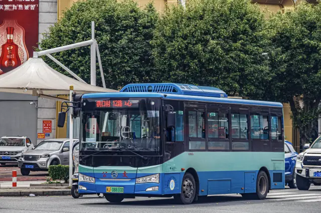 800BUS