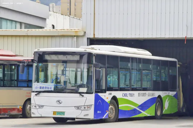 800BUS