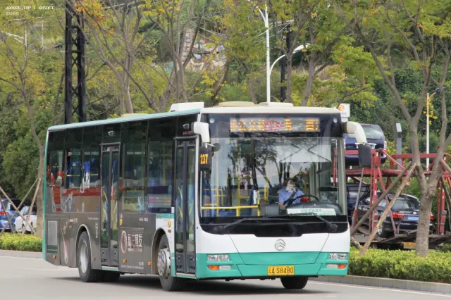 800BUS