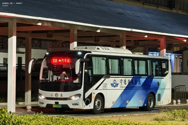 800BUS