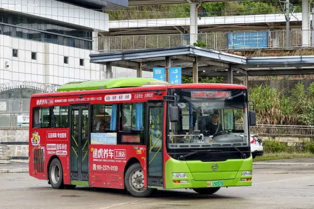 800BUS