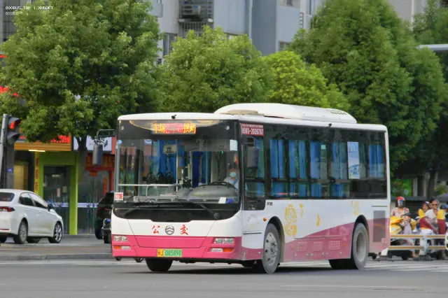 800BUS