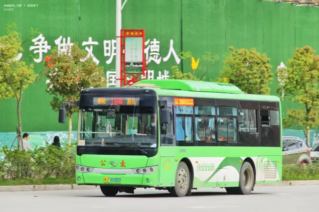 800BUS
