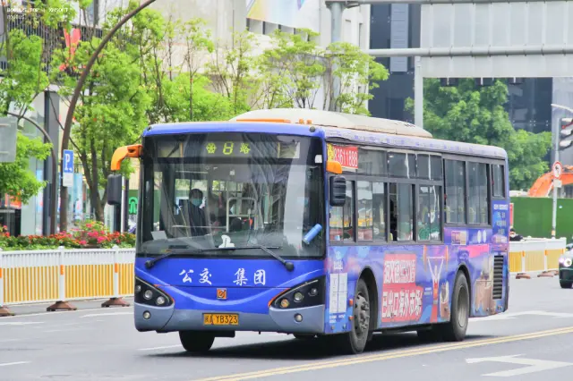 800BUS