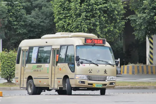 800BUS