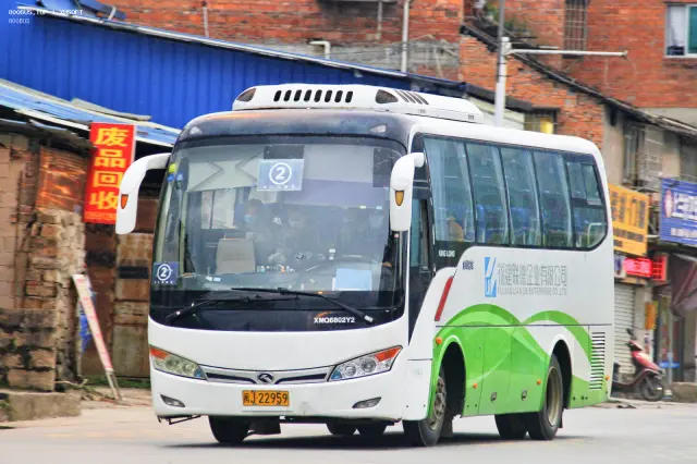 800BUS