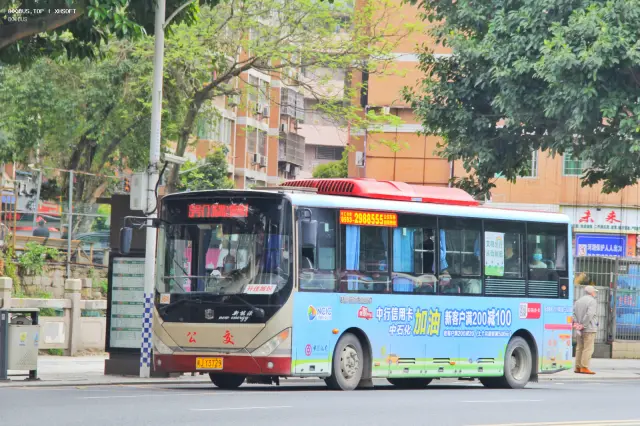 800BUS