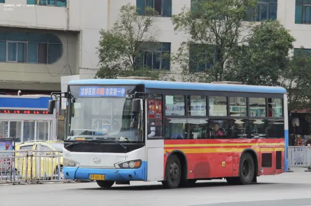 800BUS