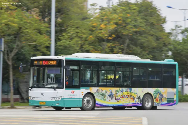 800BUS