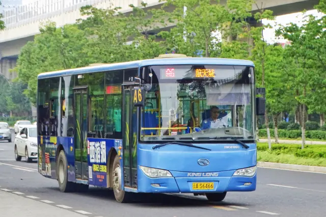 800BUS