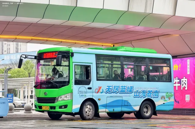 800BUS