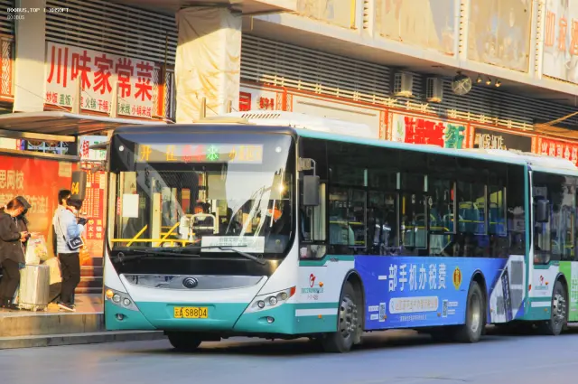 800BUS
