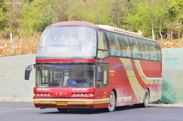 800BUS