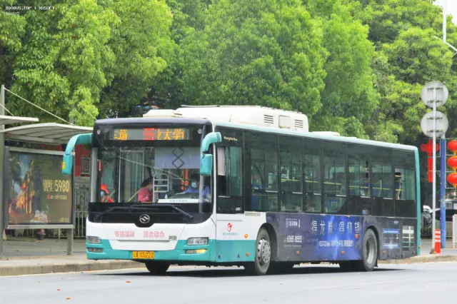 800BUS