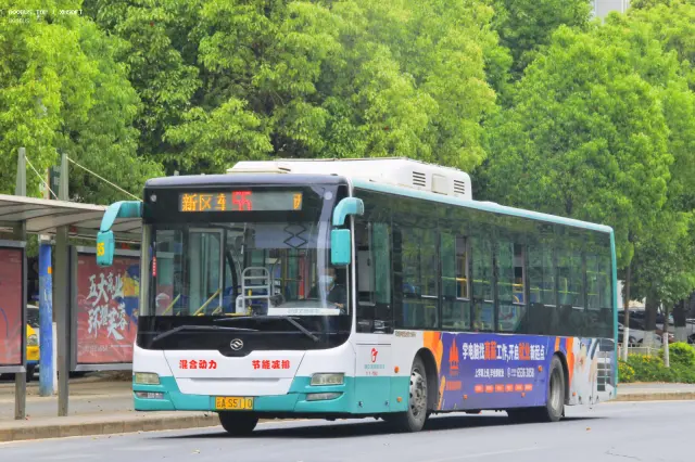 800BUS