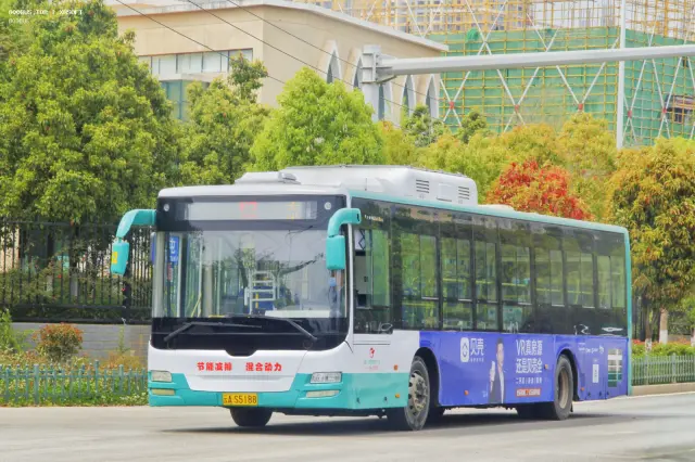 800BUS