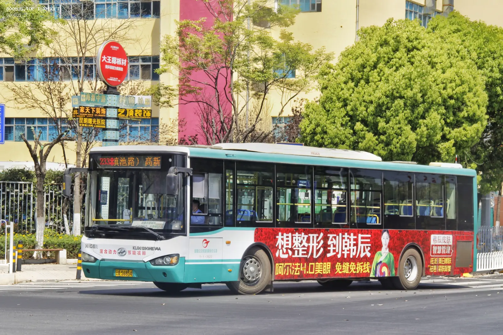Bus Archive