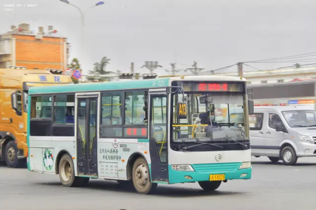 800BUS