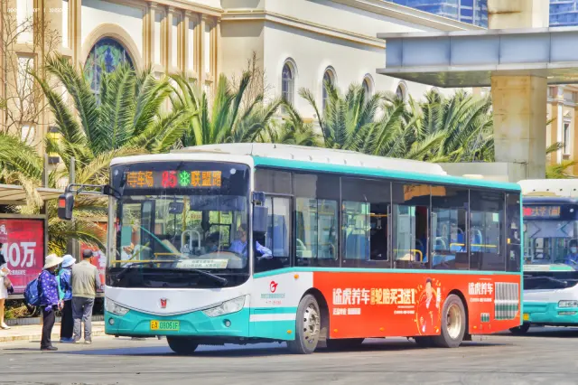 800BUS