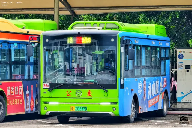 800BUS