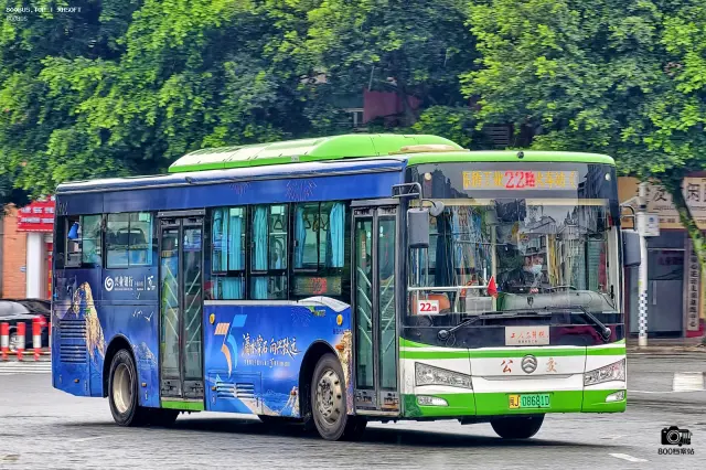 800BUS