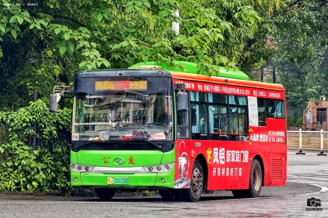 800BUS