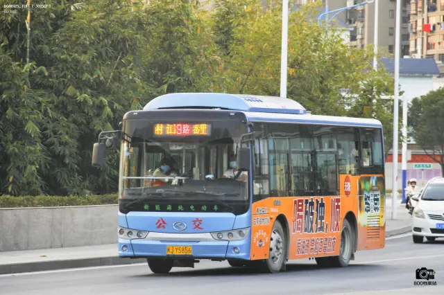 800BUS
