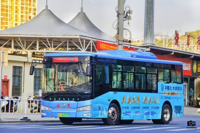800BUS