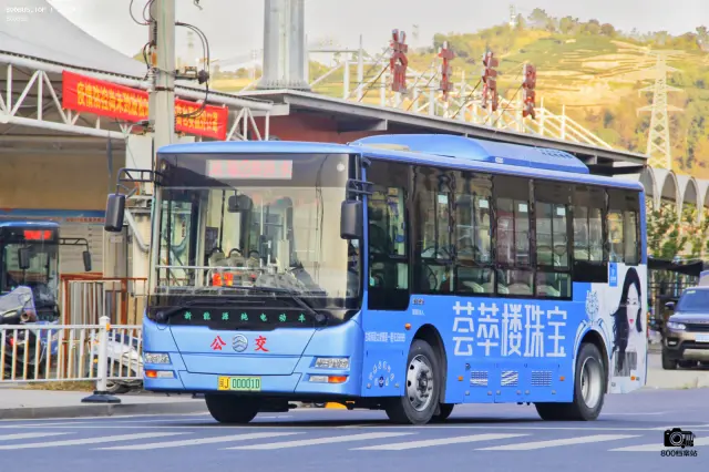 800BUS