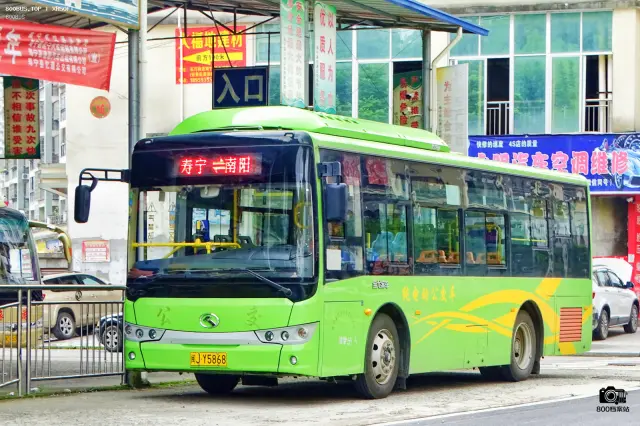 800BUS
