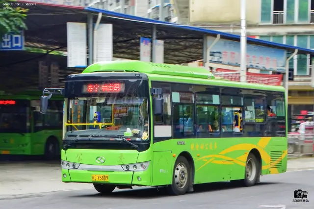 800BUS