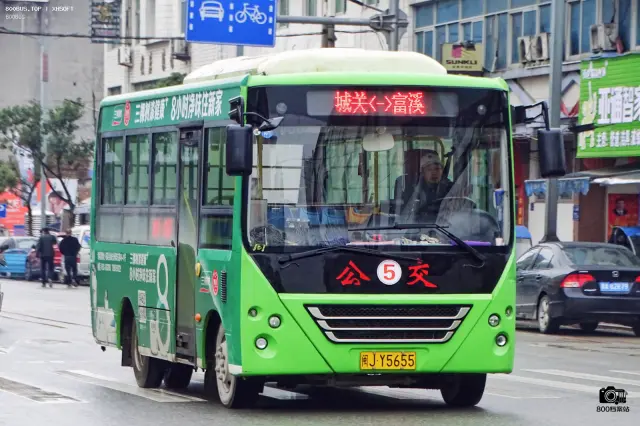 800BUS