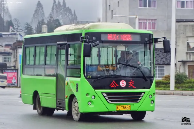 800BUS