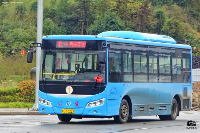800BUS