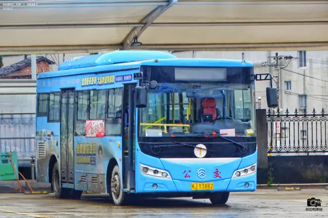 800BUS