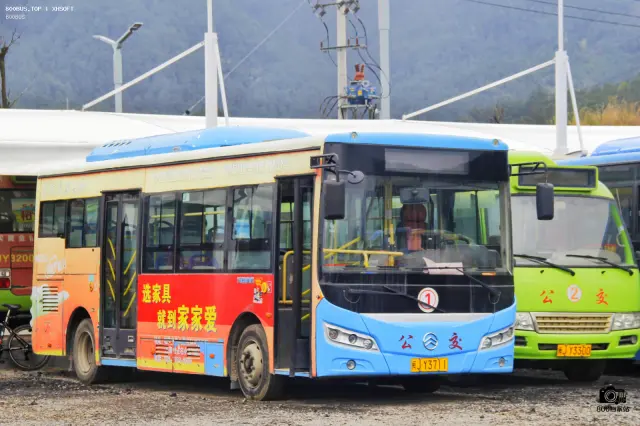 800BUS