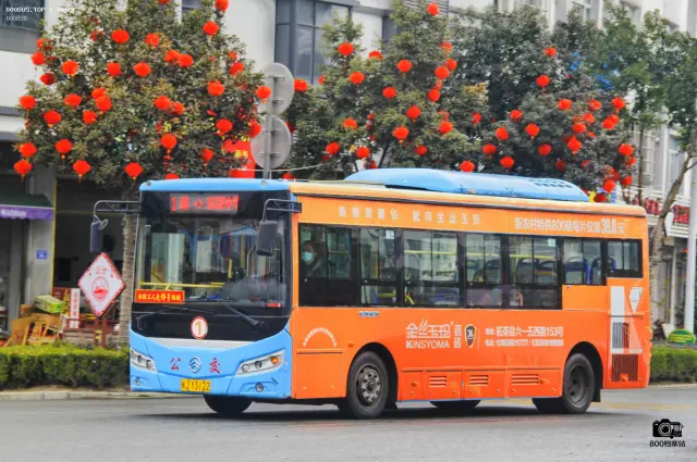 800BUS