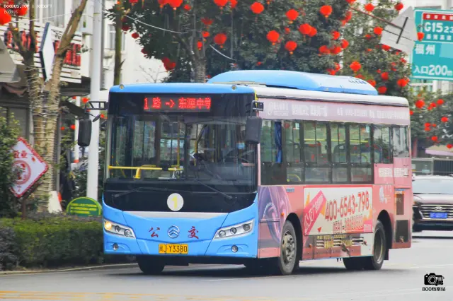 800BUS